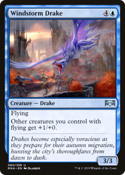 Windstorm Drake (RNA-060) - Ravnica Allegiance
