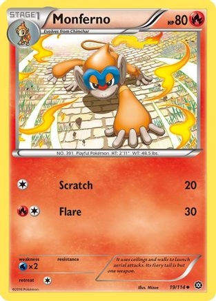 Monferno 019/114  - Reverse Holofoil XY  Steam Siege - Uncommon