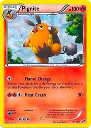 Pignite 017/114  - Holofoil Miscellaneous Cards & Products - Promo