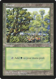 Forest (Arena League) (OVER-) - Oversize Cards Foil