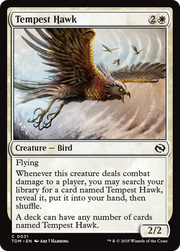 Tempest Hawk (TDM-031) - Tarkir: Dragonstorm