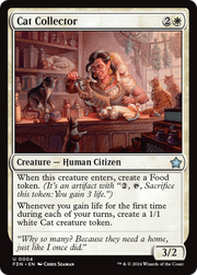 Pirates Theme Card (FDN-004) - Foundations