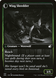 Bird Admirer // Wing Shredder (DBL-169) - Innistrad: Double Feature: (Double Faced Transform)