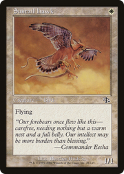 Suntail Hawk (JUD-028) - Judgment
