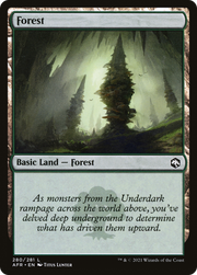 Forest (AFR-280) - Adventures in the Forgotten Realms