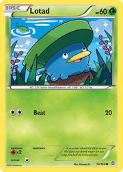 Lotad 010/160  XY  Primal Clash - Common