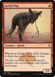 Jackal Pup (A25-139) - Masters 25