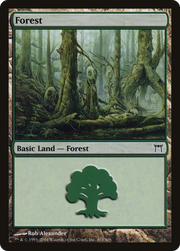 Forest (CHK-303) - Champions of Kamigawa Foil