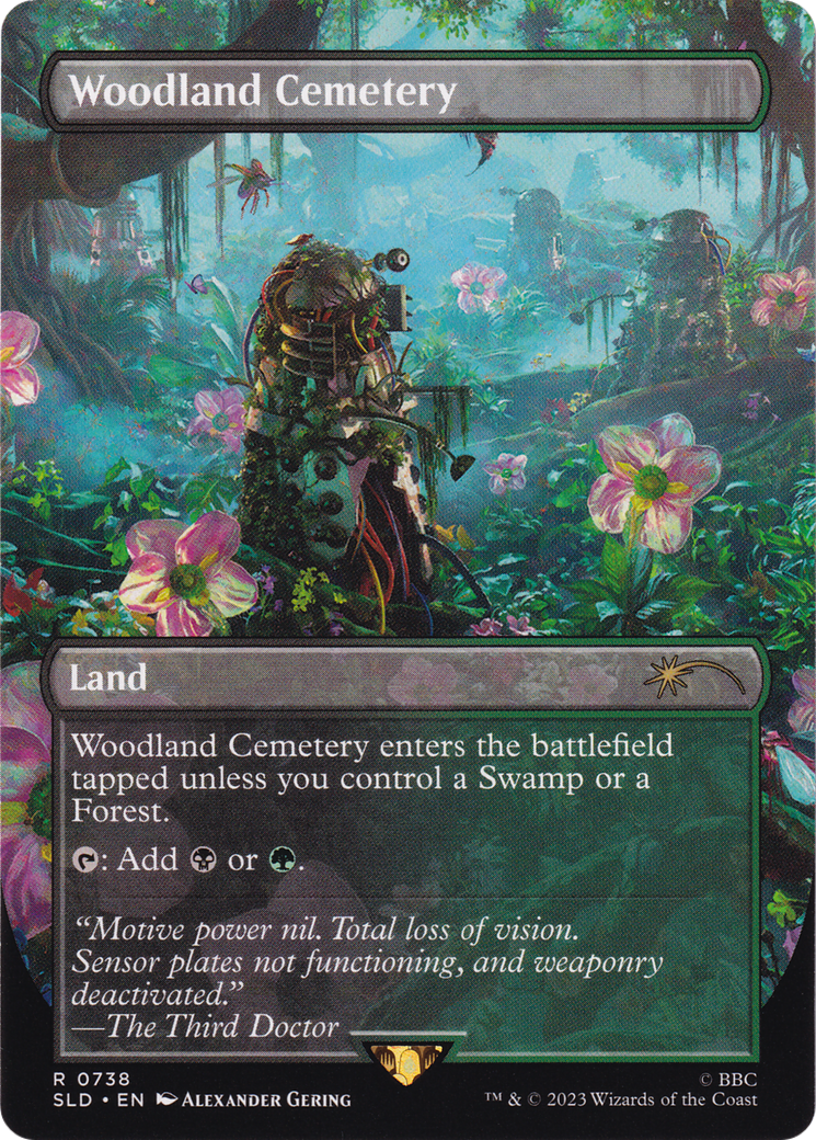 Woodland Cemetery (SLD-738) - Secret Lair Drop: (borderless) (Borderless) Foil