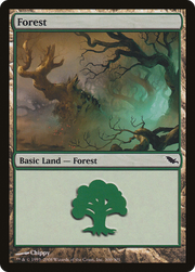 Forest (SHM-300) - Shadowmoor Foil