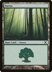 Forest (10E-381) - Tenth Edition