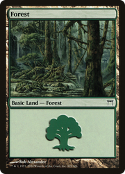 Forest (CHK-305) - Champions of Kamigawa Foil