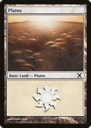 Plains (10E-365) - Tenth Edition Foil