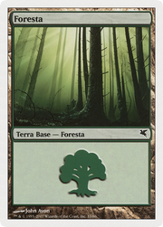Forest (PSAL-K33) - Salvat 2005