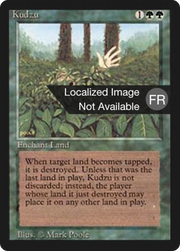 Kudzu (FBB-) - Foreign Black Border