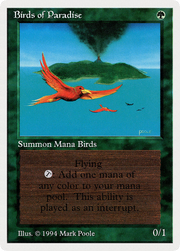 Birds of Paradise (SUM-187) - Summer Magic / Edgar